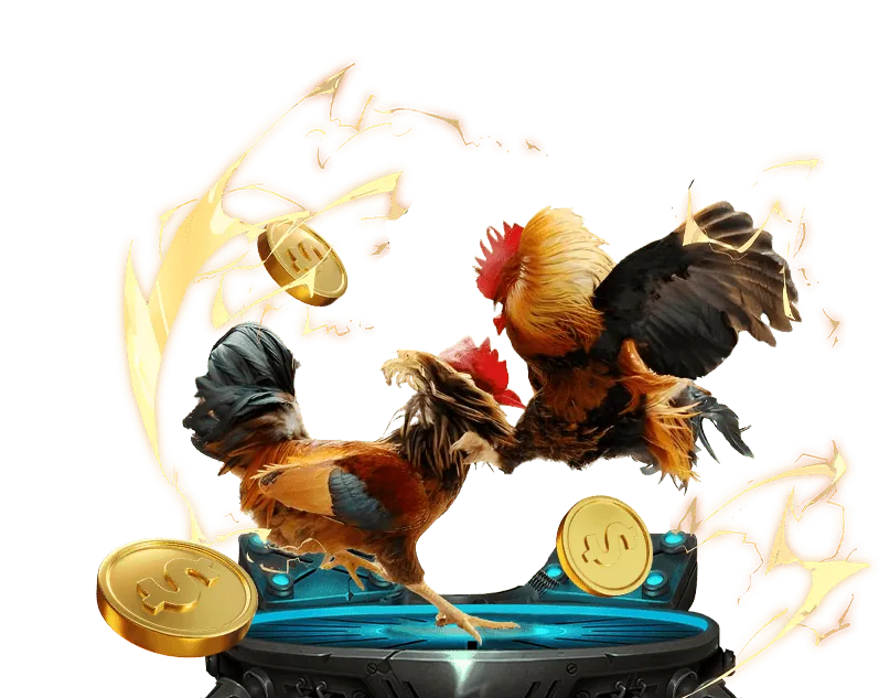 Cá cược đá gà VSbet